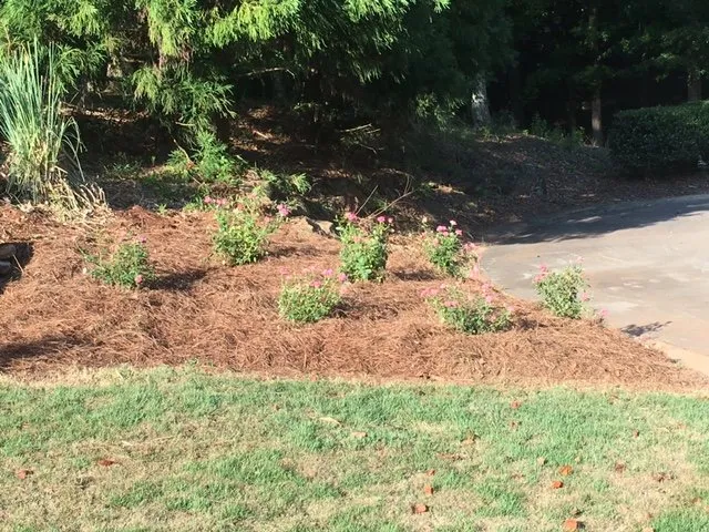 Reliable lawn care service near you in Athens, GA by Hedges Landscape Group