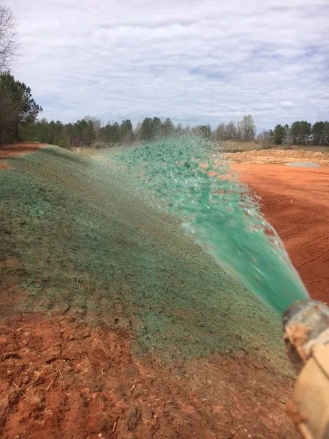 Professional yard cleanup service experts serving Athens, GA - Hedges Landscape Group