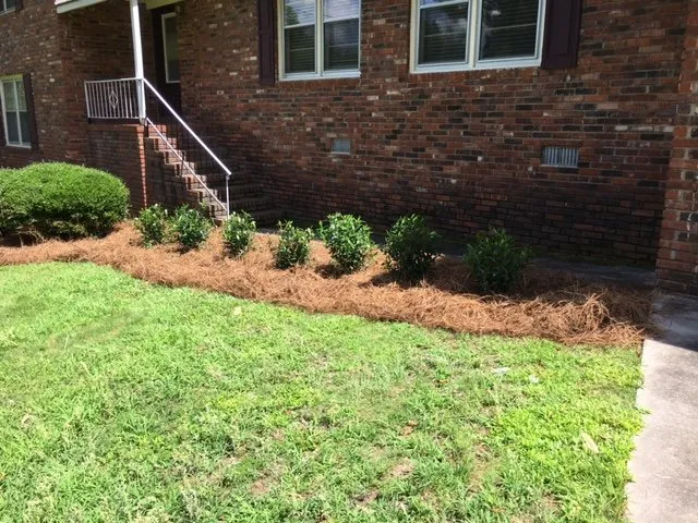 Reliable yard maintenance for year-round maintenance across Athens, GA - Hedges Landscape Group