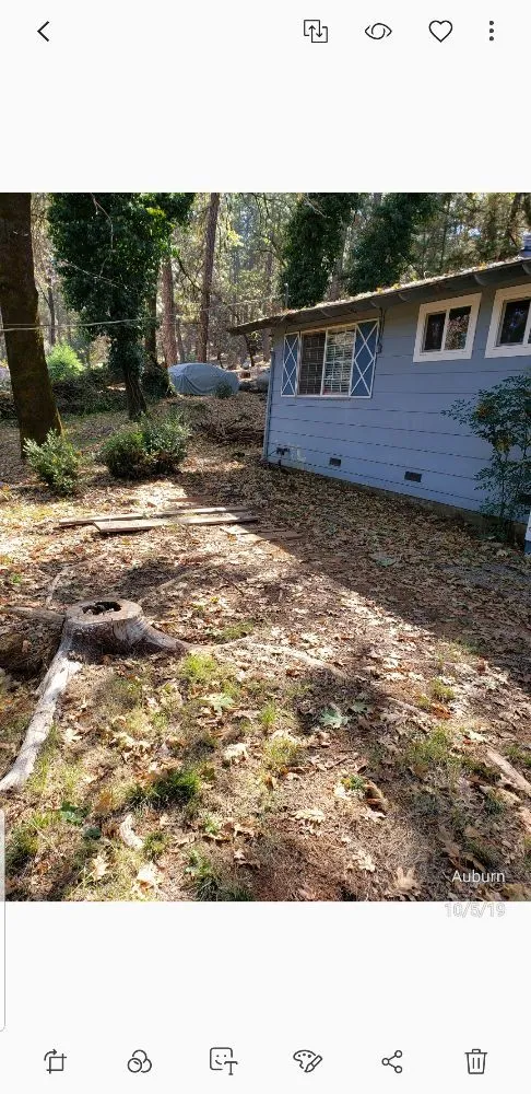 Local outdoor landscaping in Auburn, CA - Hedges lawn and garden care