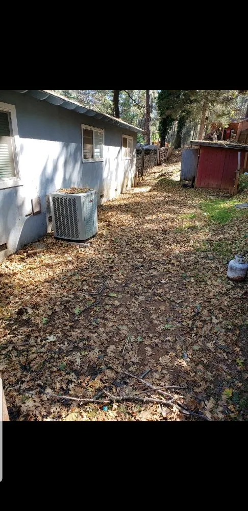 Top-rated outdoor landscaping in Auburn, CA by Hedges lawn and garden care