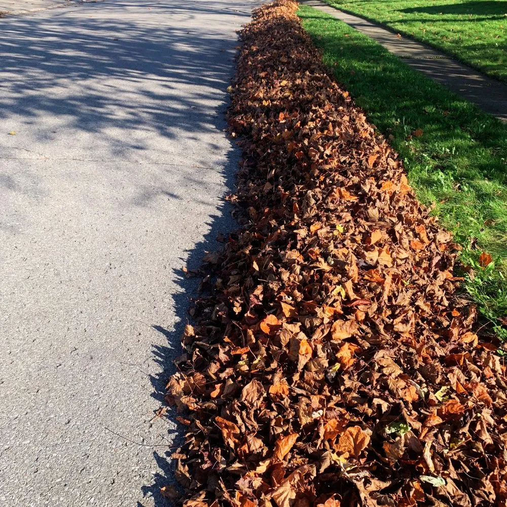 Reliable garden landscaping for residential properties across Anderson, IN - HedgeWorx Landscaping