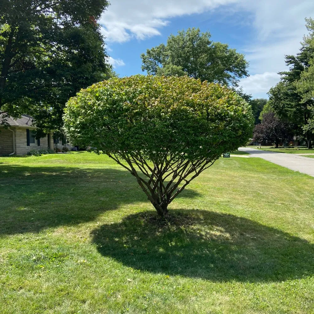 Top-rated landscape design with custom design in Anderson, IN by HedgeWorx Landscaping