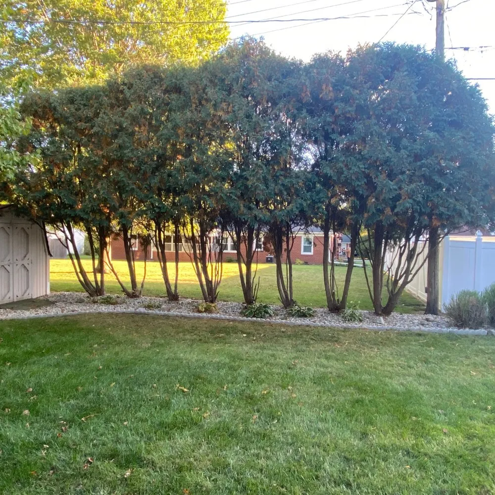 Expert landscaping services experts serving Anderson, IN - HedgeWorx Landscaping