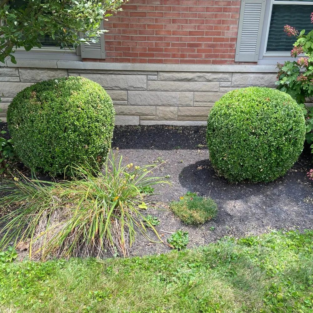 Expert landscape installation in Anderson, IN by HedgeWorx Landscaping