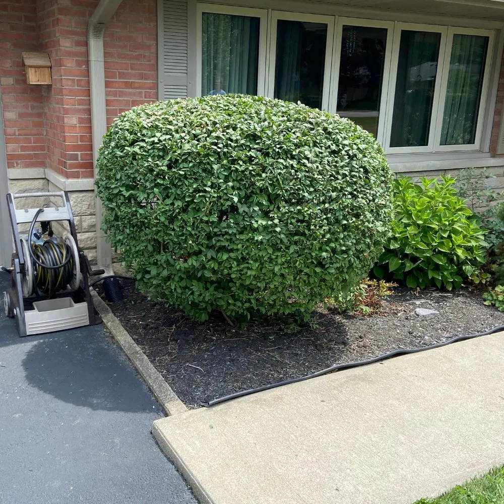 Professional outdoor landscaping experts serving Anderson, IN - HedgeWorx Landscaping