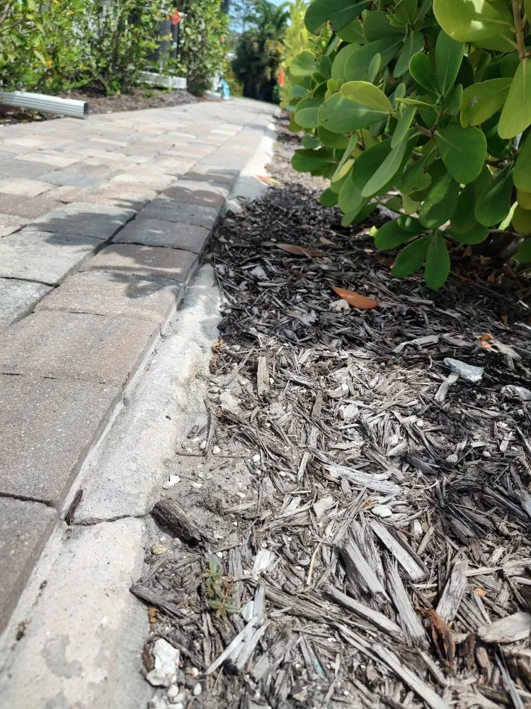 Expert yard cleanup service in Bradenton, FL - Hedgez Plus+
