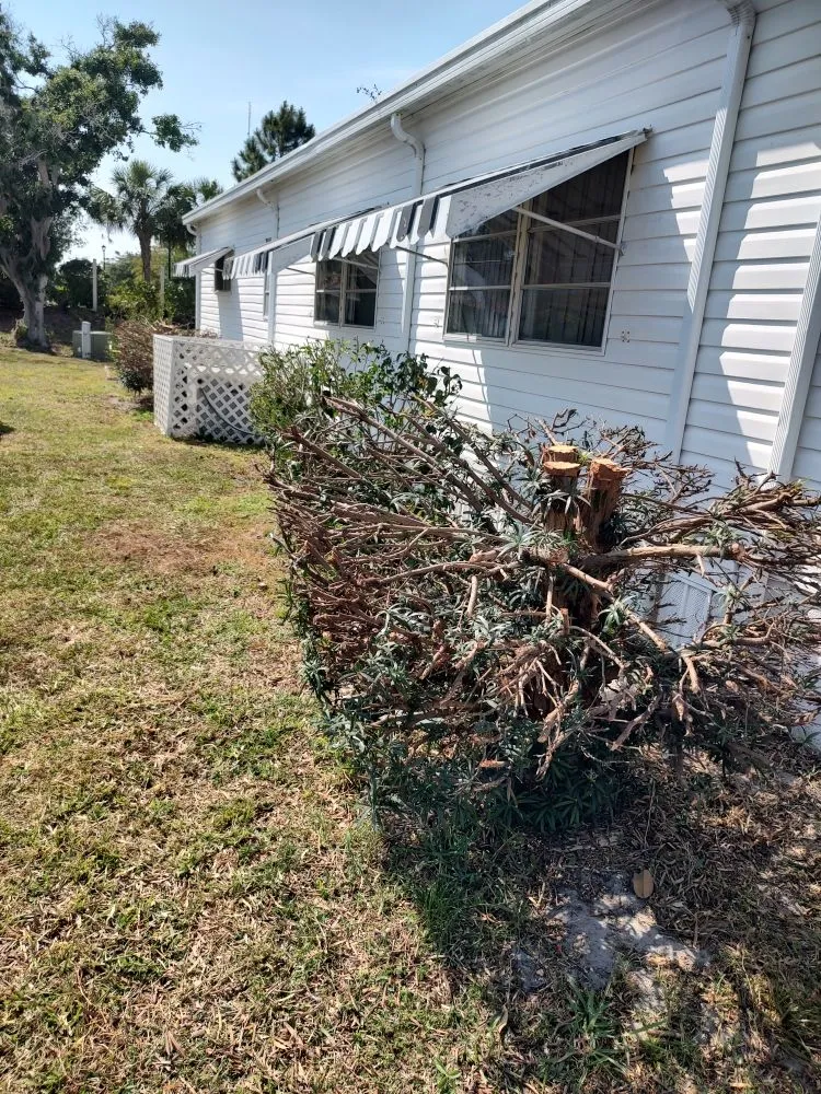Affordable landscaping services in Bradenton, FL - Hedgez Plus+