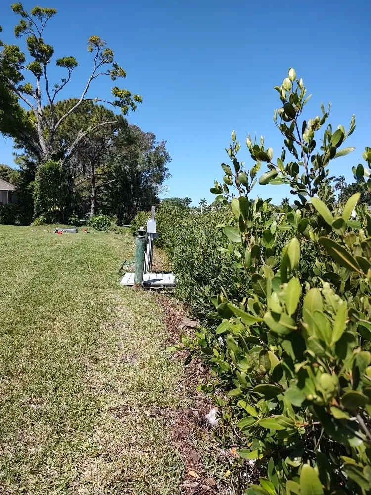 Local landscape installation experts serving Bradenton, FL - Hedgez Plus+