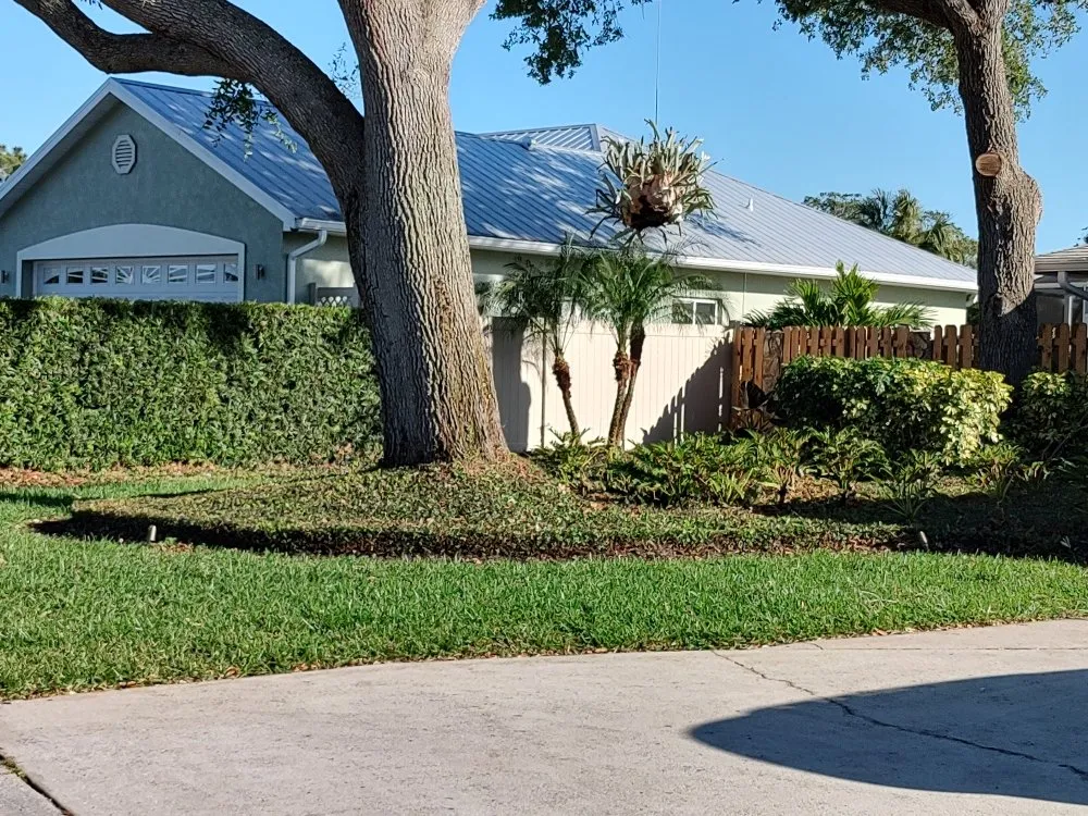 Expert yard maintenance in Bradenton, FL - Hedgez Plus+