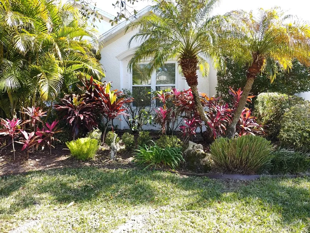 Top-rated landscape installation in Bradenton, FL by Hedgez Plus+