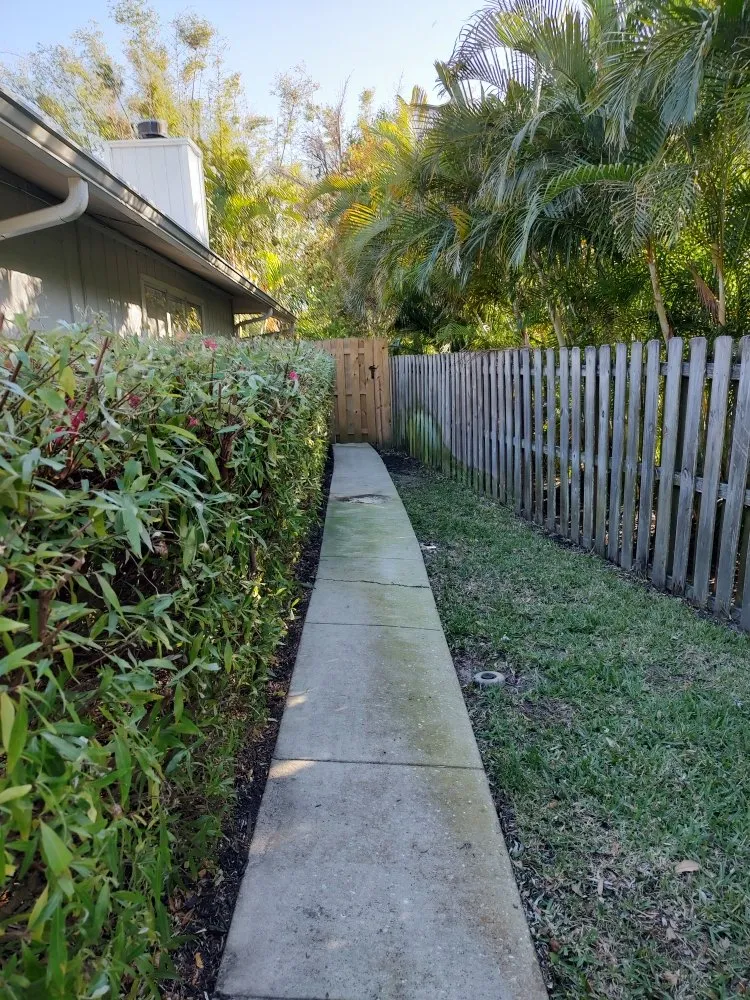 Affordable yard cleanup service experts serving Bradenton, FL - Hedgez Plus+