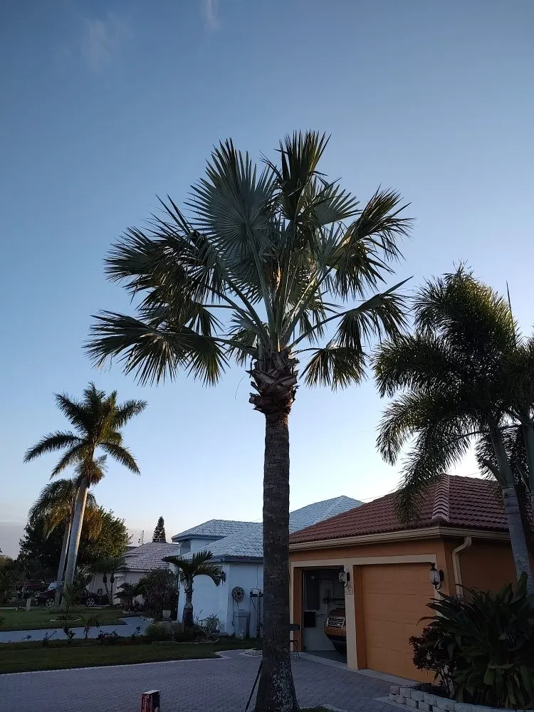 Professional garden landscaping with custom design across Bradenton, FL - Hedgez Plus+