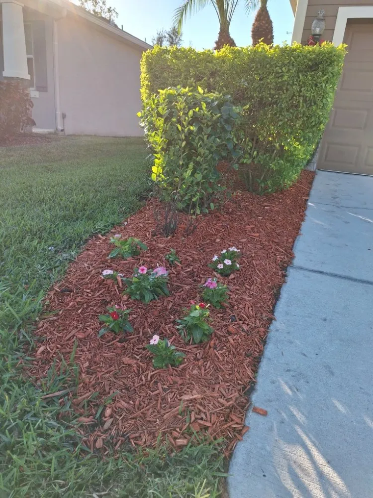 Reliable outdoor landscaping with custom design across Sarasota, FL - Hedgez Plus