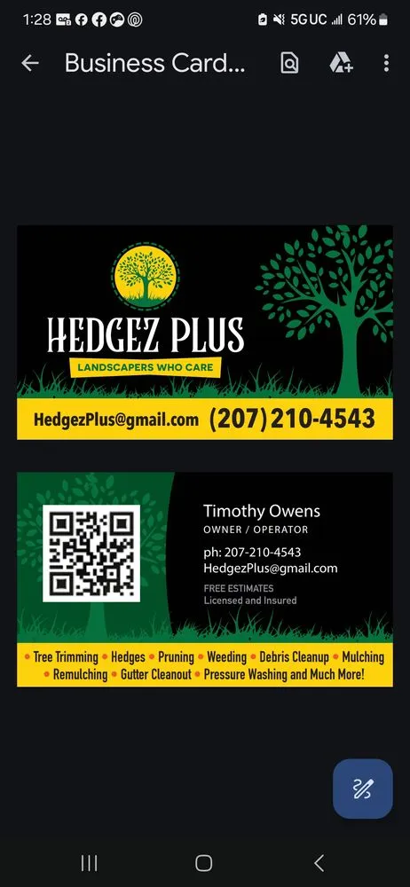 Trusted yard cleanup service in Sarasota, FL - Hedgez Plus