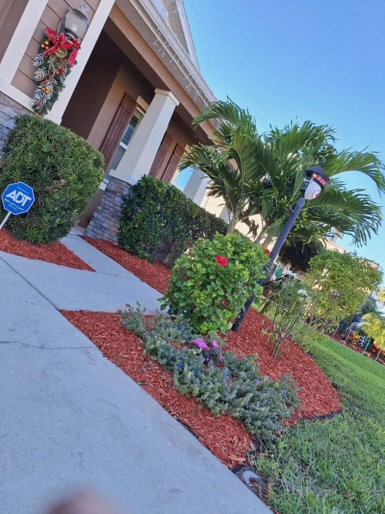Local landscape design with custom design across Sarasota, FL - Hedgez Plus