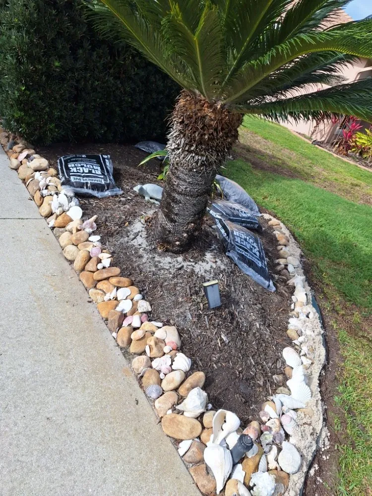 Professional landscape design for year-round maintenance in Sarasota, FL by Hedgez Plus