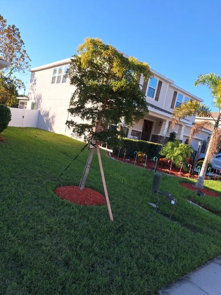 Trusted residential landscaping experts serving Sarasota, FL - Hedgez Plus