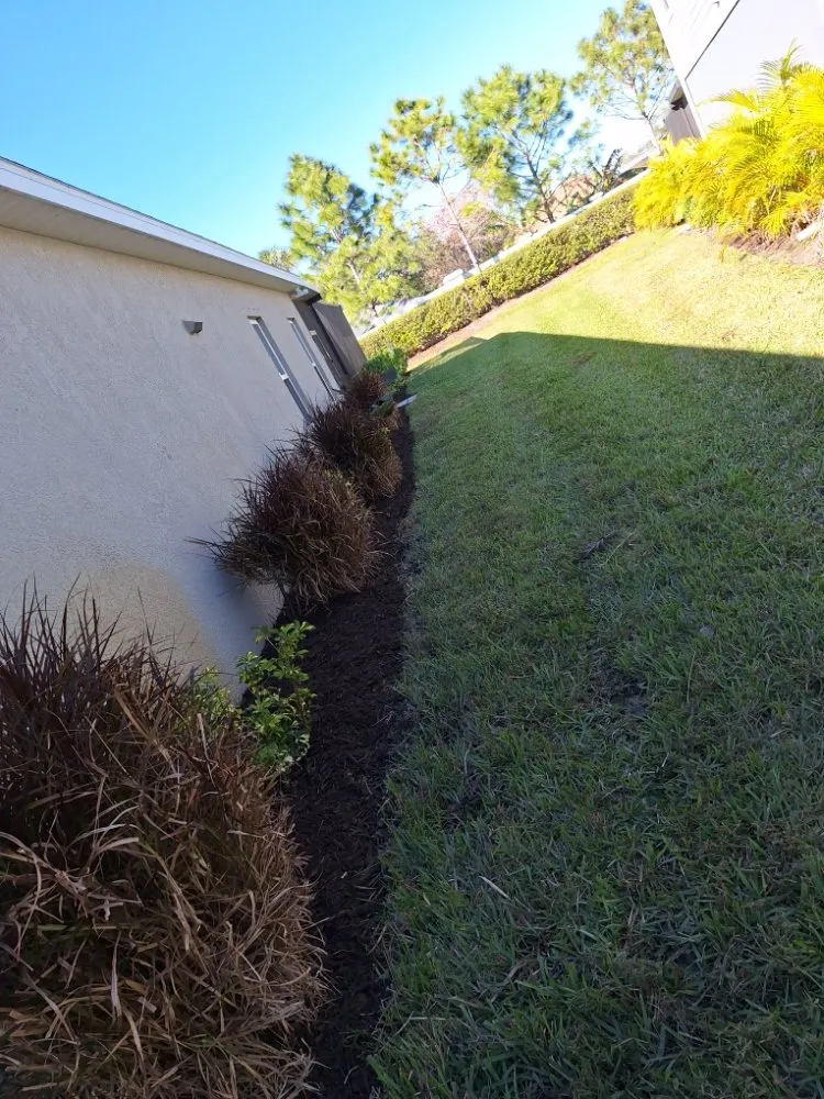 Top-rated outdoor landscaping in Sarasota, FL by Hedgez Plus