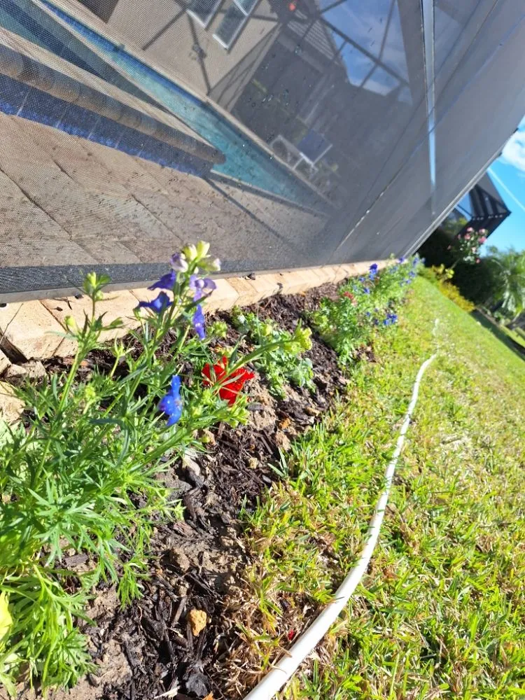 Top-rated landscaping services experts serving Sarasota, FL - Hedgez Plus