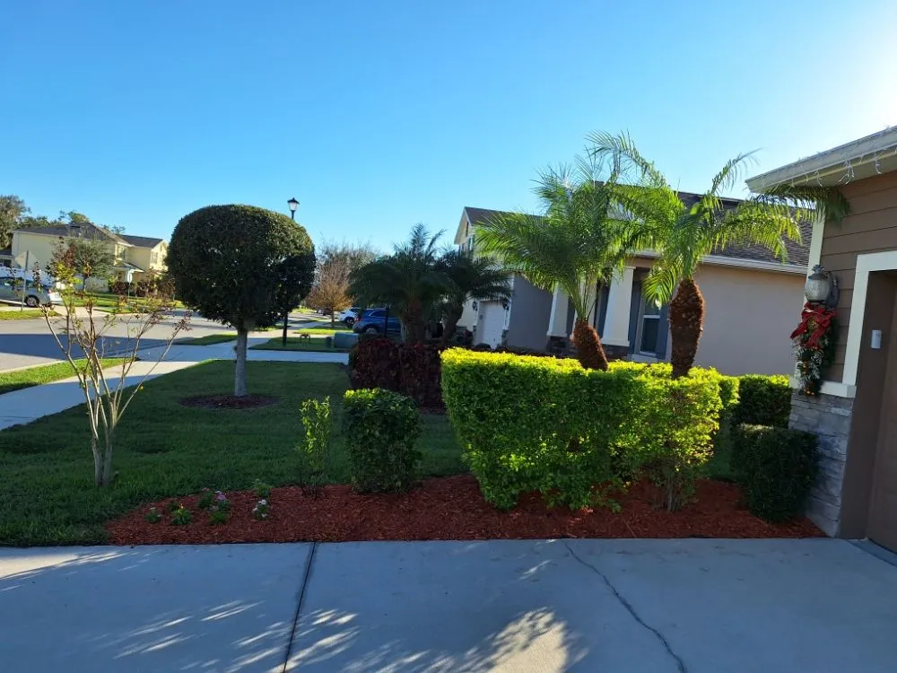 Top-rated outdoor landscaping in Sarasota, FL - Hedgez Plus