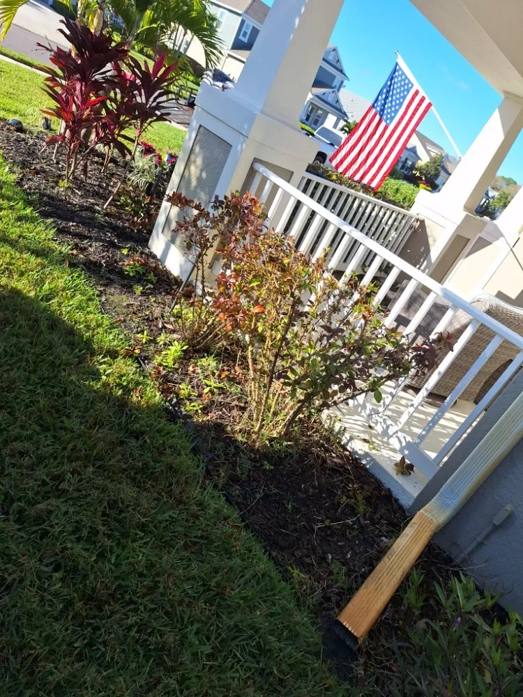 Affordable landscape installation in Sarasota, FL - Hedgez Plus