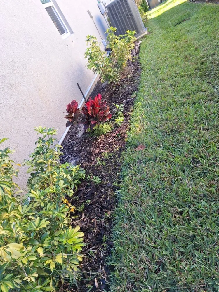 Professional lawn care service experts serving Sarasota, FL - Hedgez Plus