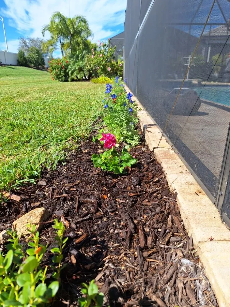 Affordable landscaping services for outdoor upgrades in Sarasota, FL by Hedgez Plus