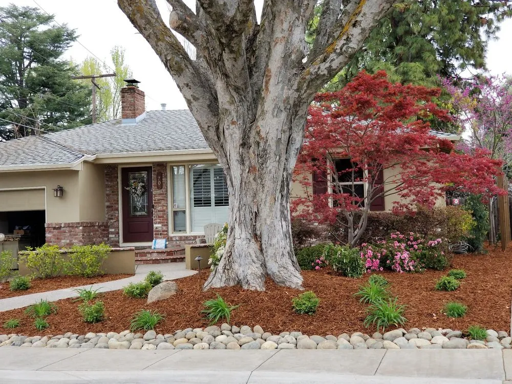 Trusted yard cleanup service for homes in Sacramento, CA by HeedeLand
