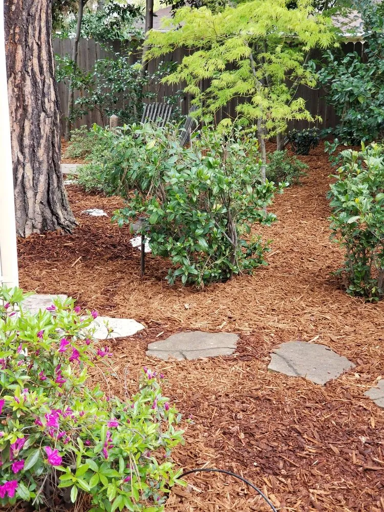 Professional landscaping services in Sacramento, CA by HeedeLand