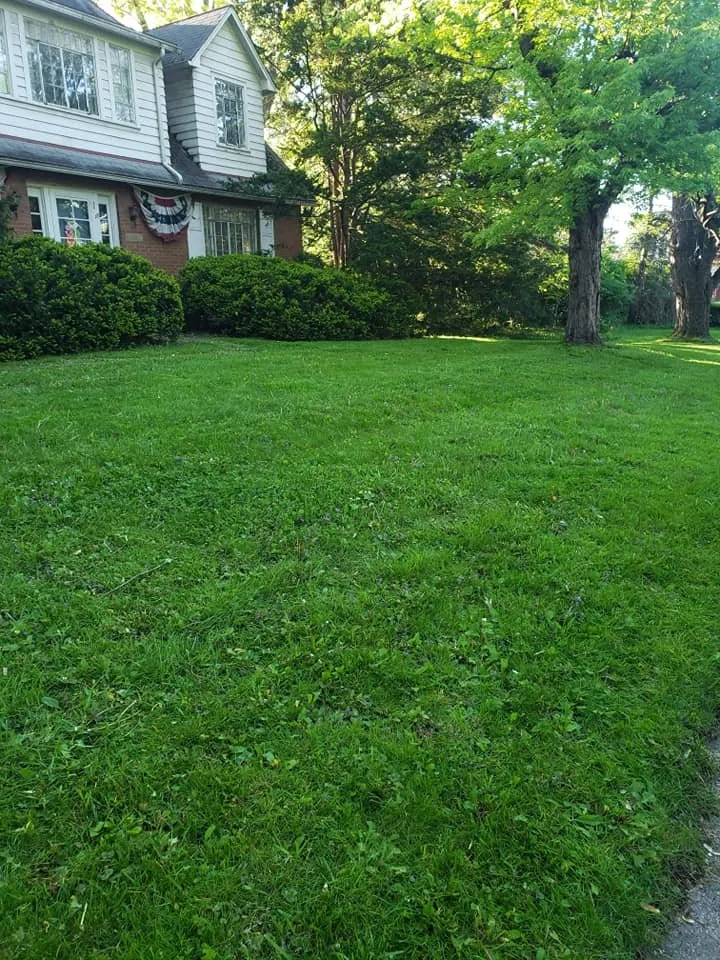 Affordable outdoor landscaping for beautiful yards in Medina, OH by Heel 2 Toe Lawn Care