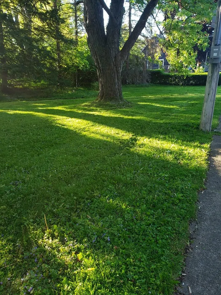 Reliable outdoor landscaping for beautiful yards across Medina, OH - Heel 2 Toe Lawn Care