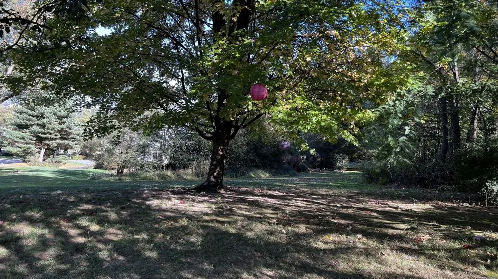 Local lawn care service experts serving Ephrata, PA - Heemer’s Lawn Care Services