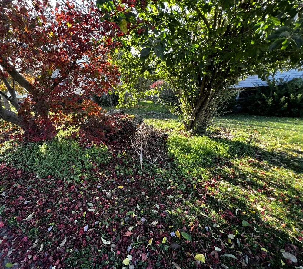 Reliable landscaping services in Ephrata, PA - Heemer’s Lawn Care Services
