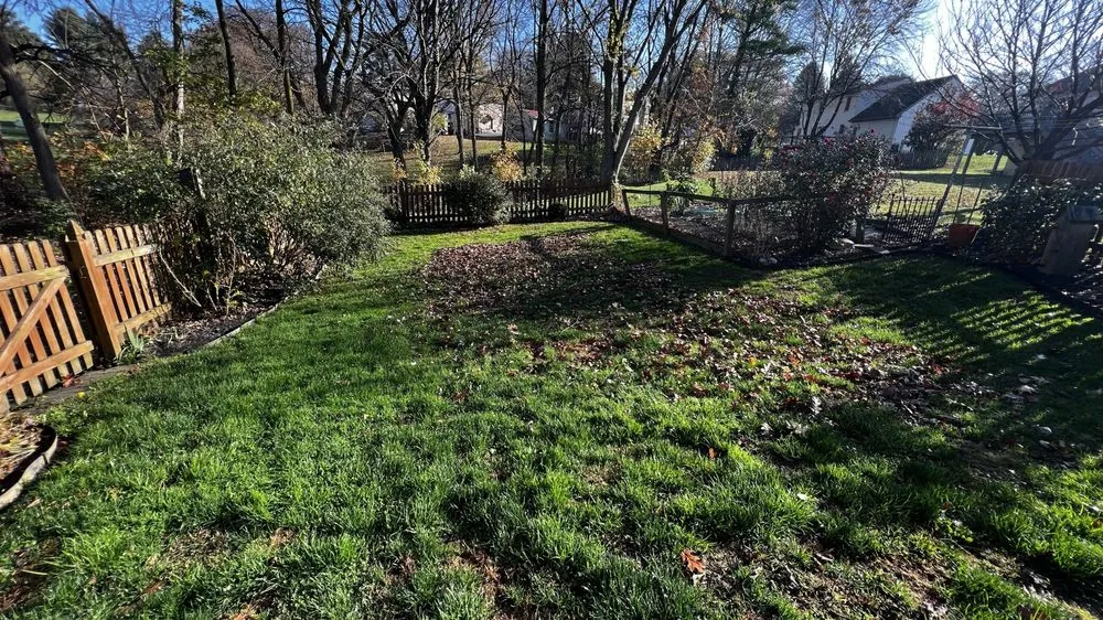 Local lawn mowing service for year-round maintenance in Ephrata, PA by Heemer’s Lawn Care Services