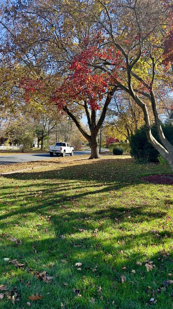 Local landscaping services with custom design across Ephrata, PA - Heemer’s Lawn Care Services