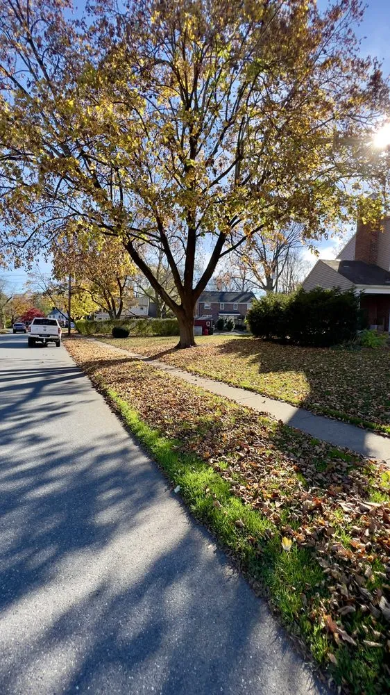 Custom yard cleanup service experts serving Ephrata, PA - Heemer’s Lawn Care Services