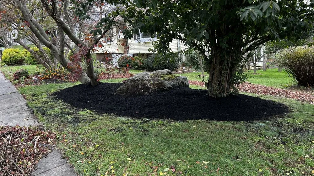 Trusted outdoor landscaping for beautiful yards in Ephrata, PA by Heemer’s Lawn Care Services