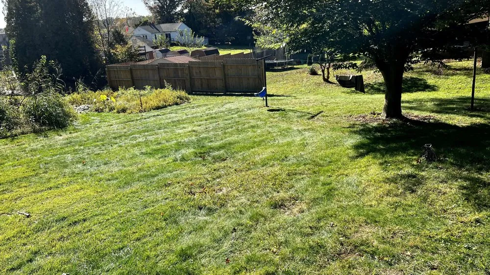 Trusted lawn care service experts serving Ephrata, PA - Heemer’s Lawn Care Services