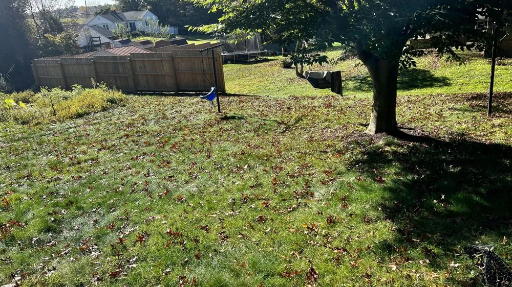 Professional yard cleanup service near you in Ephrata, PA by Heemer’s Lawn Care Services