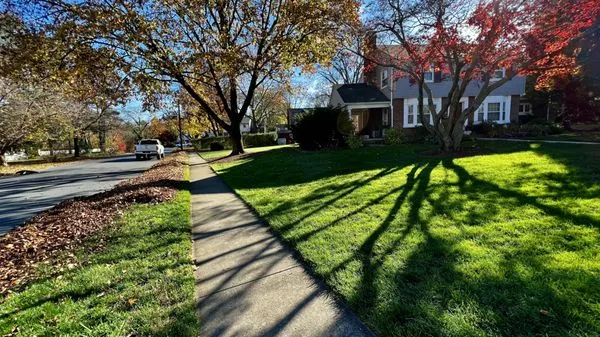 Heemer’s Lawn Care Services Logo