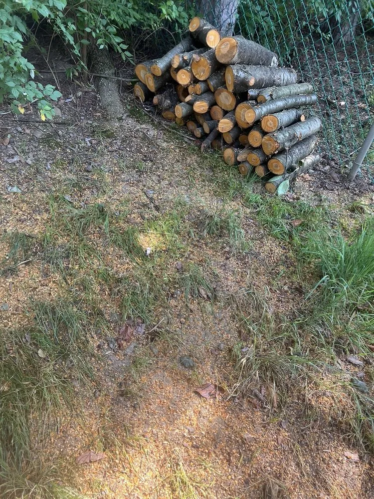 Custom outdoor landscaping for year-round maintenance in Ravenna, OH by Heeter Enterprises Tree Service and Landscaping