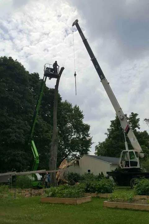 Trusted lawn care service in Ravenna, OH by Heeter Enterprises Tree Service and Landscaping