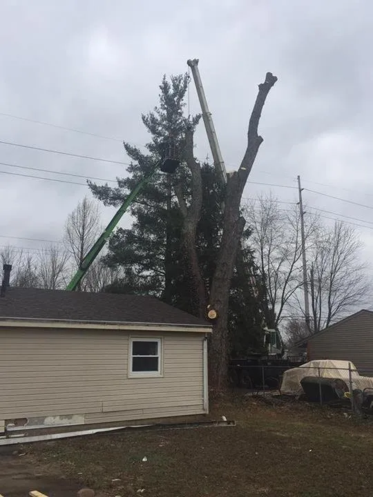 Trusted landscape design with custom design across Ravenna, OH - Heeter Enterprises Tree Service and Landscaping