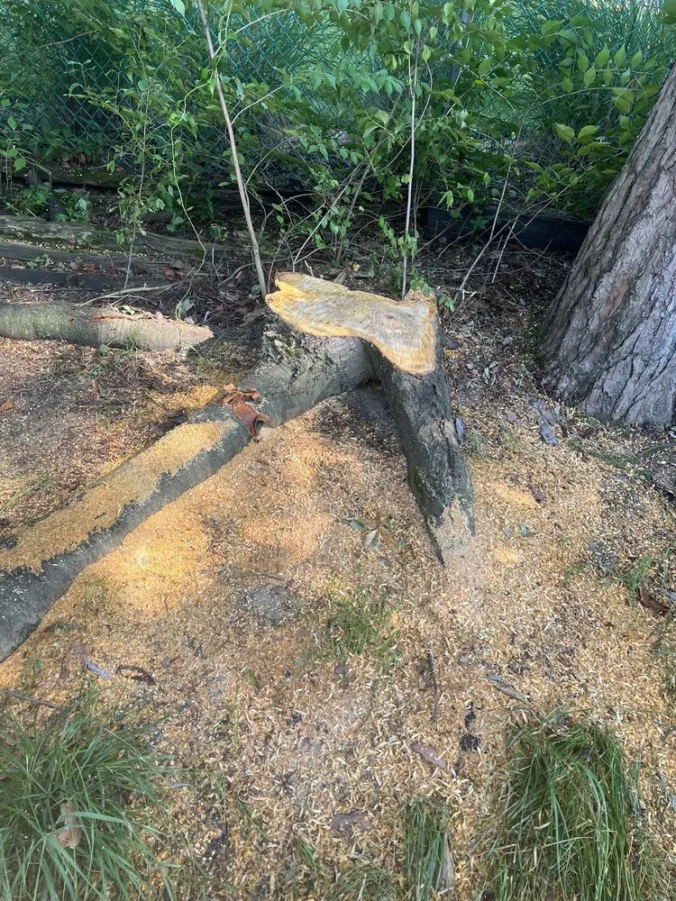 Reliable lawn care service near you across Ravenna, OH - Heeter Enterprises Tree Service and Landscaping