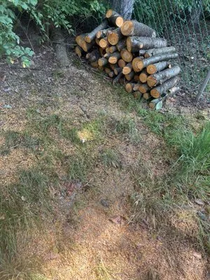 Heeter Enterprises Tree Service and Landscaping