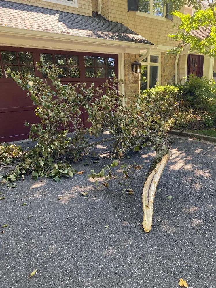 Affordable lawn mowing service in Port Washington, NY - Hefferin Tree Service