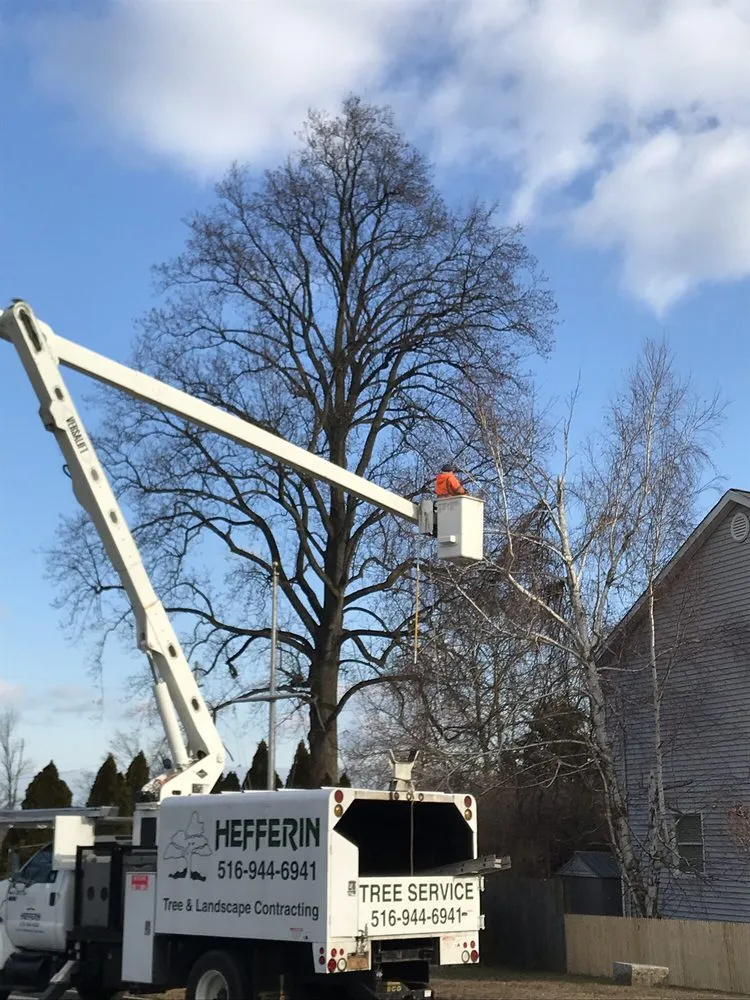 Expert garden landscaping for beautiful yards in Port Washington, NY by Hefferin Tree Service