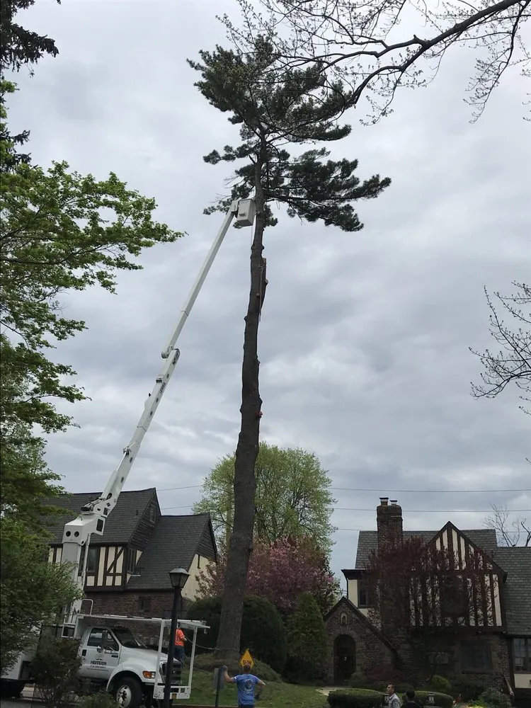 Local yard cleanup service for residential properties across Port Washington, NY - Hefferin Tree Service