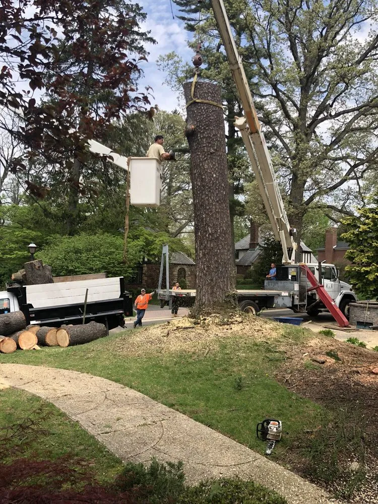 Professional landscaping services experts serving Port Washington, NY - Hefferin Tree Service